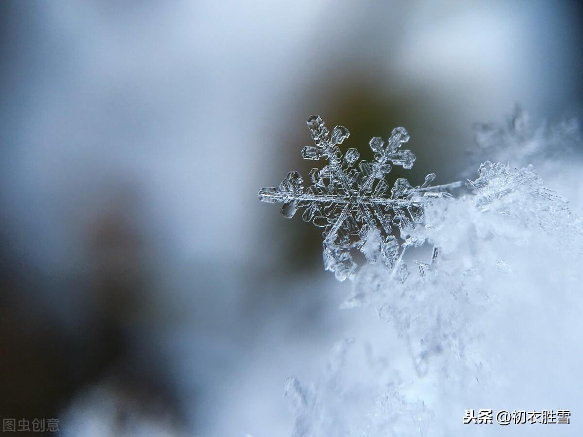 咏雪经典诗词有哪些（纳兰性德两首咏雪诗词）