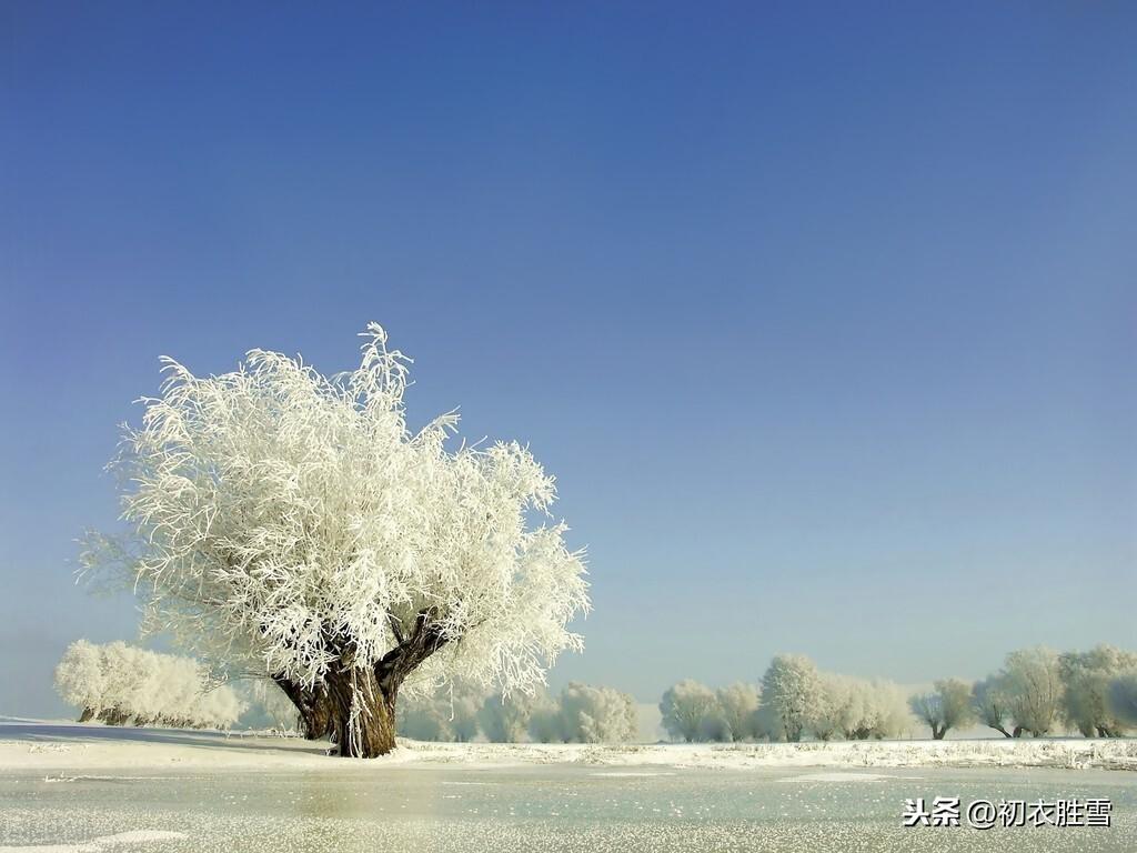 大雪经典诗词大全（大雪节气著名古诗词）