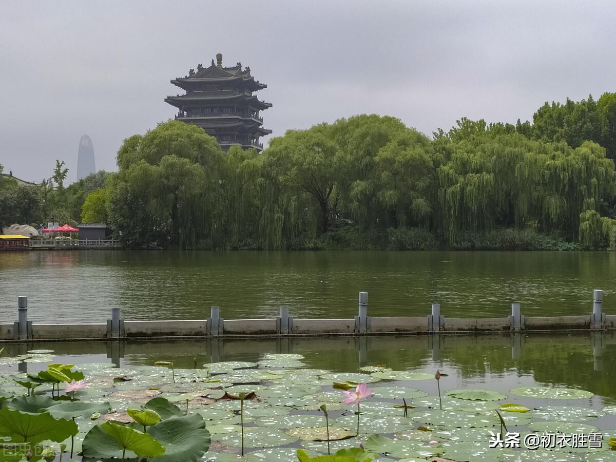 荷花凉风经典诗词（荷花经典千古名句诗词）