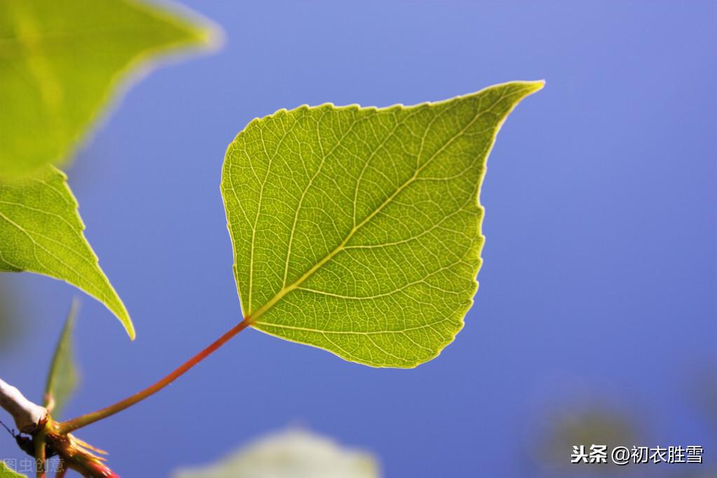 秋暑经典诗词大全（秋暑时节诗句赏析）