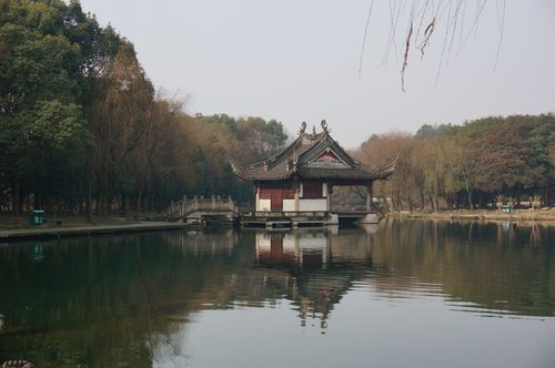 炎热的夏天小学作文（《夏天的风景》）