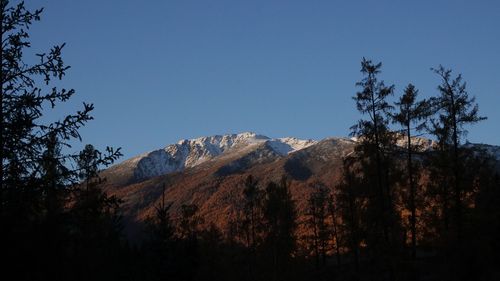 春天的风景小学作文（《春天的风景》）