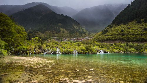 关于童年的高中作文（《精彩的童年》）