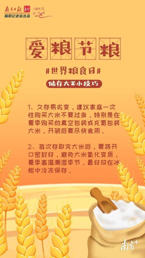 世界粮食日宣传标语口号（世界粮食日——呼唤美好明天）