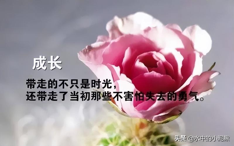 关于生命的精辟句子（珍惜生命，感恩生命的点滴）