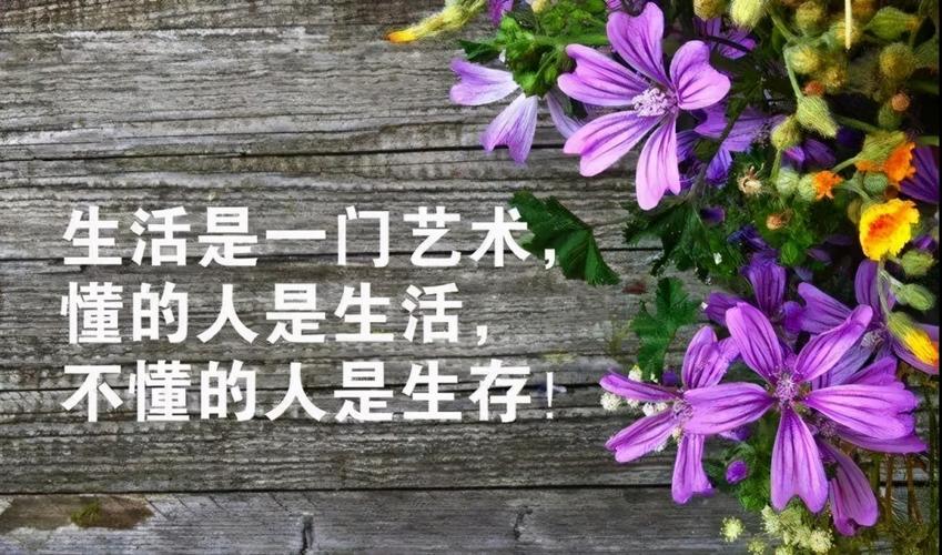 有关生活感悟心情很好句子的短句文案（《心情很好》）