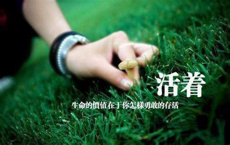 关于幸福生活的短句（25个寻找和创造幸福的秘诀）