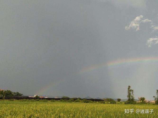 有关生活处处有风景好句的句子摘抄（生命中处处有风景）