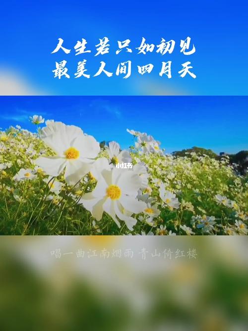 3月再见4月你好的句子正能量（以三月再见四月你好）