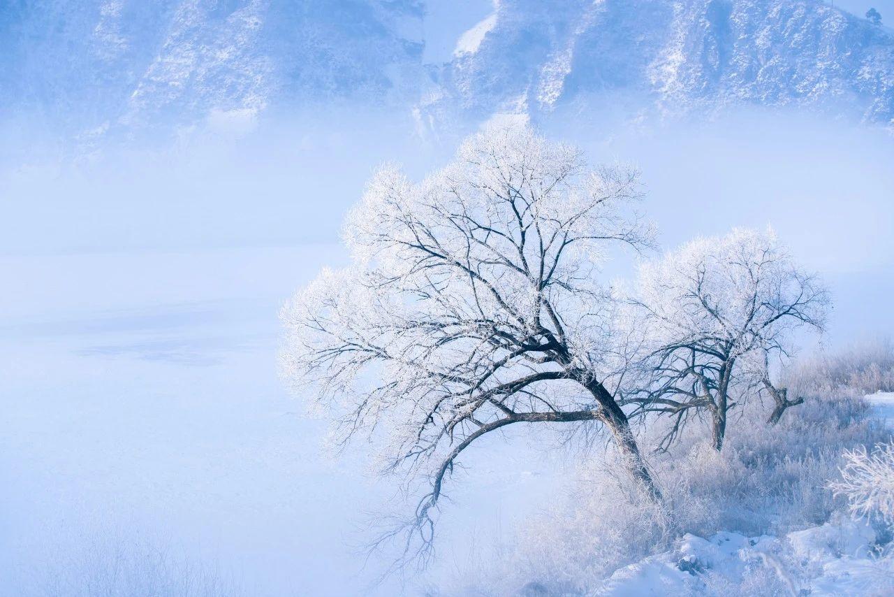 飞雪漫天，寒梅独放（35首大寒经典诗词）