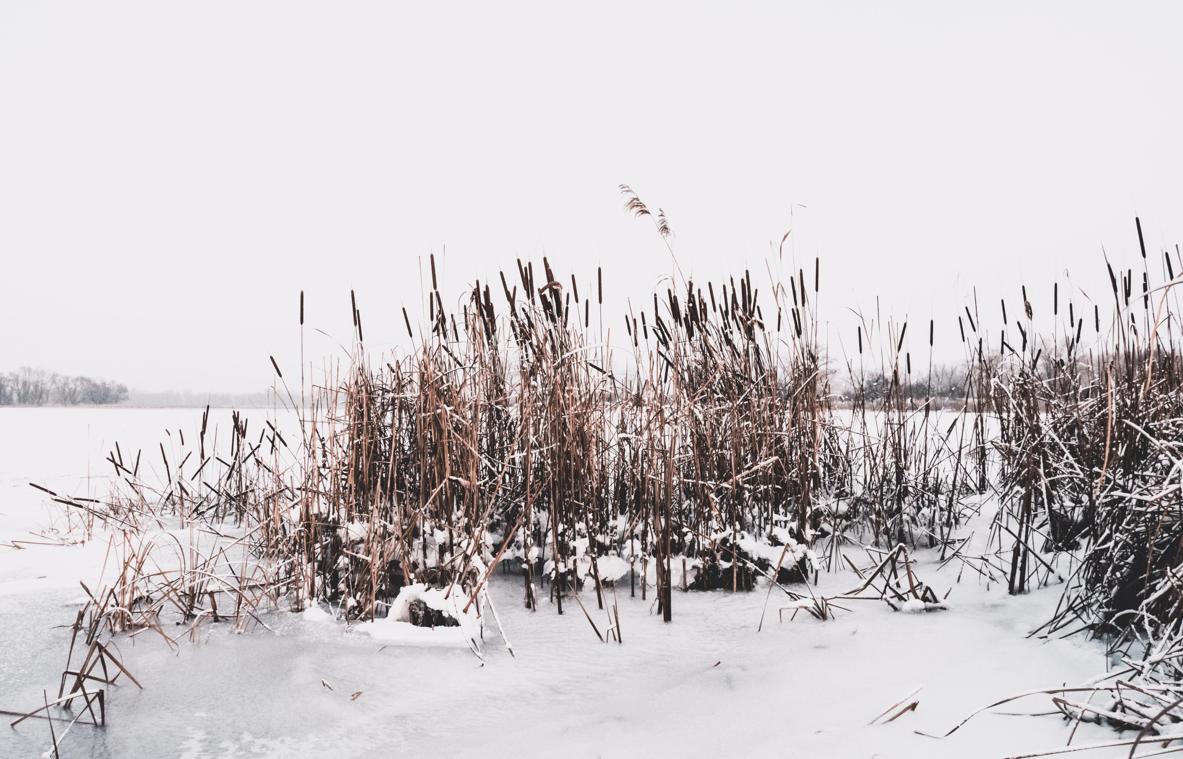 小寒天气，踏雪寻梅（32首小寒唯美诗词）