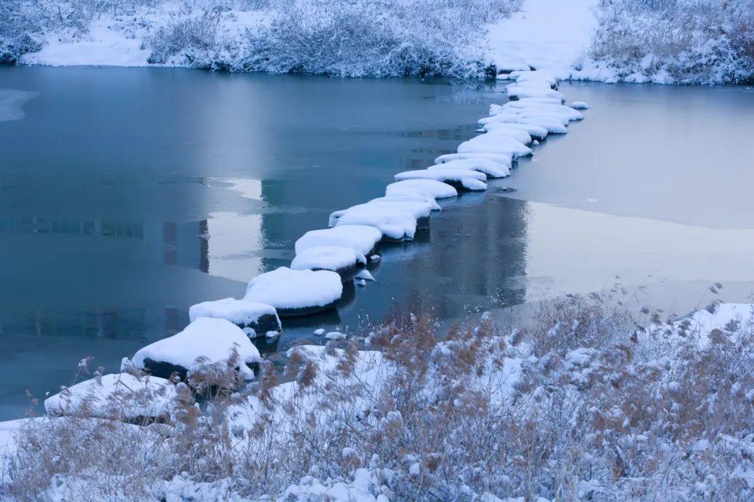 柳絮风起，枝头花开（10首咏雪唯美诗词）