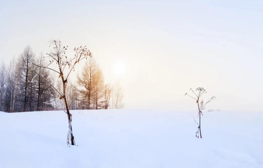 大雪经典古诗句（100句大雪诗词）