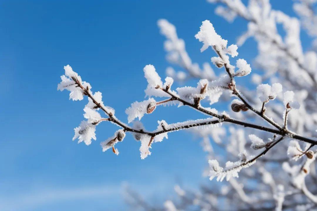 在风雪天，煮酒煎茶（100句经典冬日诗词）