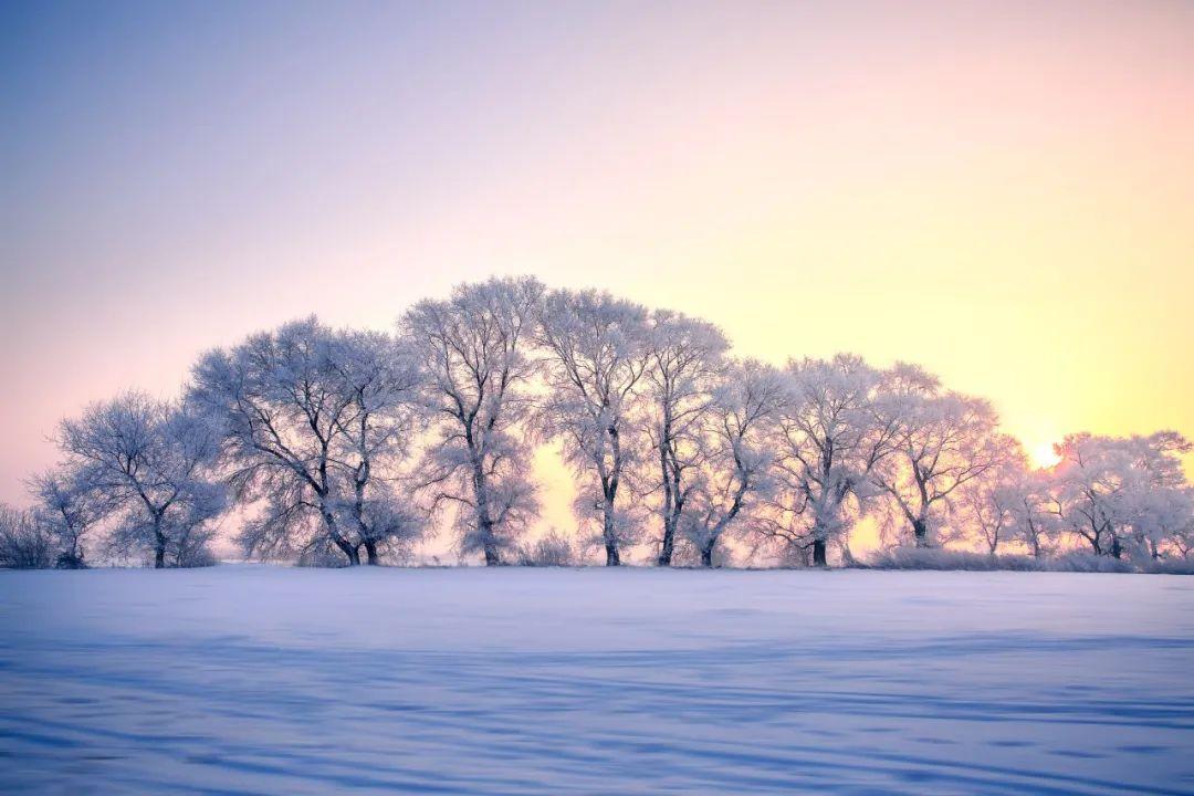 在风雪天，煮酒煎茶（100句经典冬日诗词）