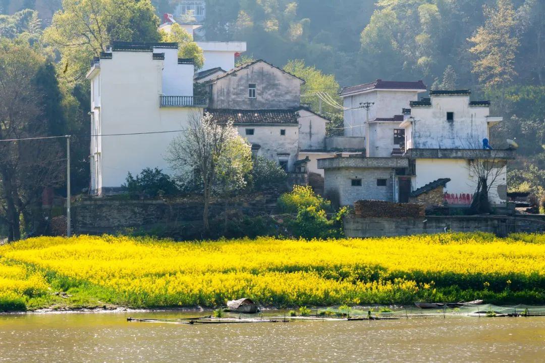 落花飞絮，春意阑珊（10首著名清明诗词）