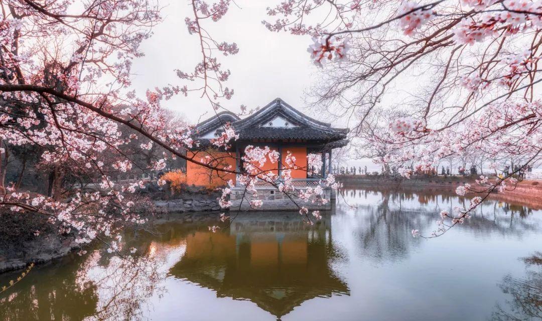 落花飞絮，春意阑珊（10首著名清明诗词）