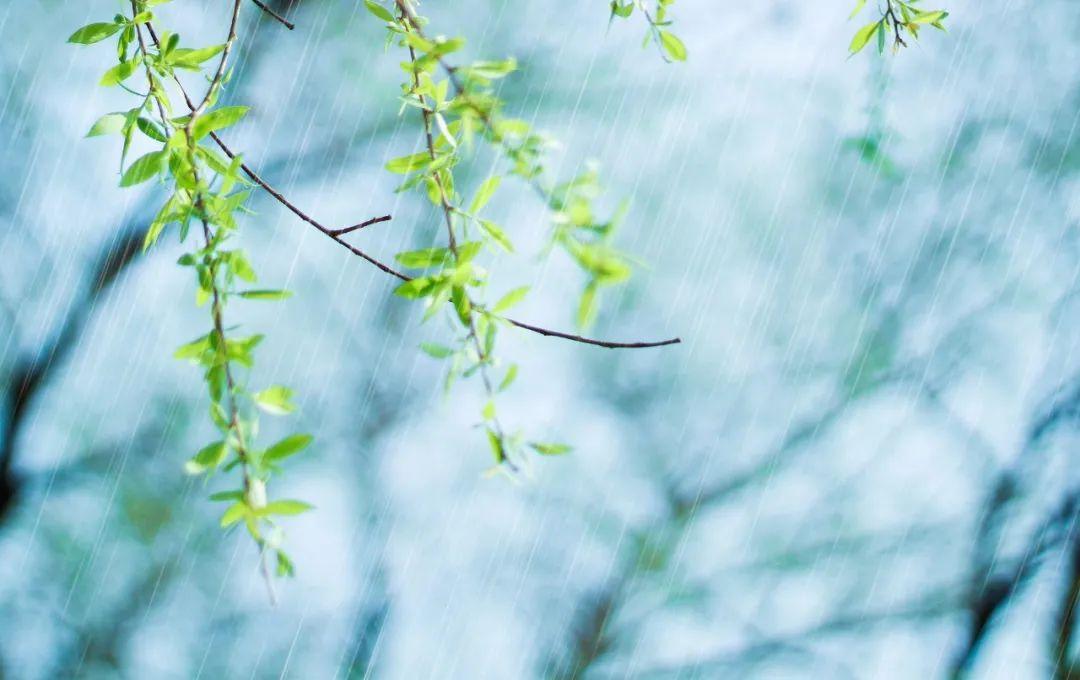 轻雷一声，微雨落梅（推荐10首优美惊蛰诗词）