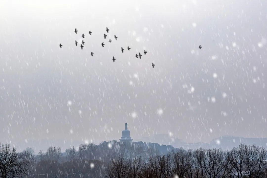 江天暮雪，落尽琼花（10首冬雪唯美诗词）