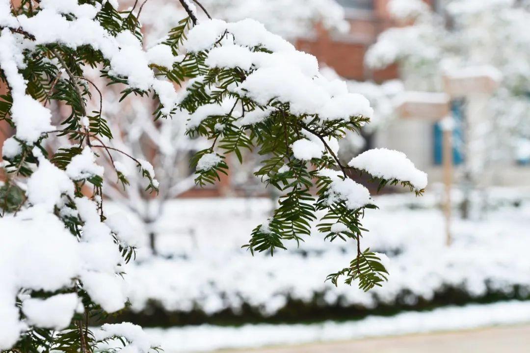 江天暮雪，落尽琼花（10首冬雪唯美诗词）