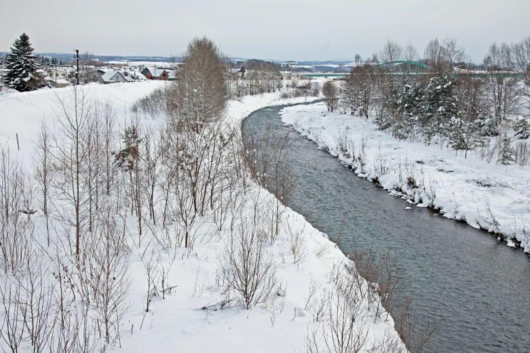 江天暮雪，落尽琼花（10首冬雪唯美诗词）