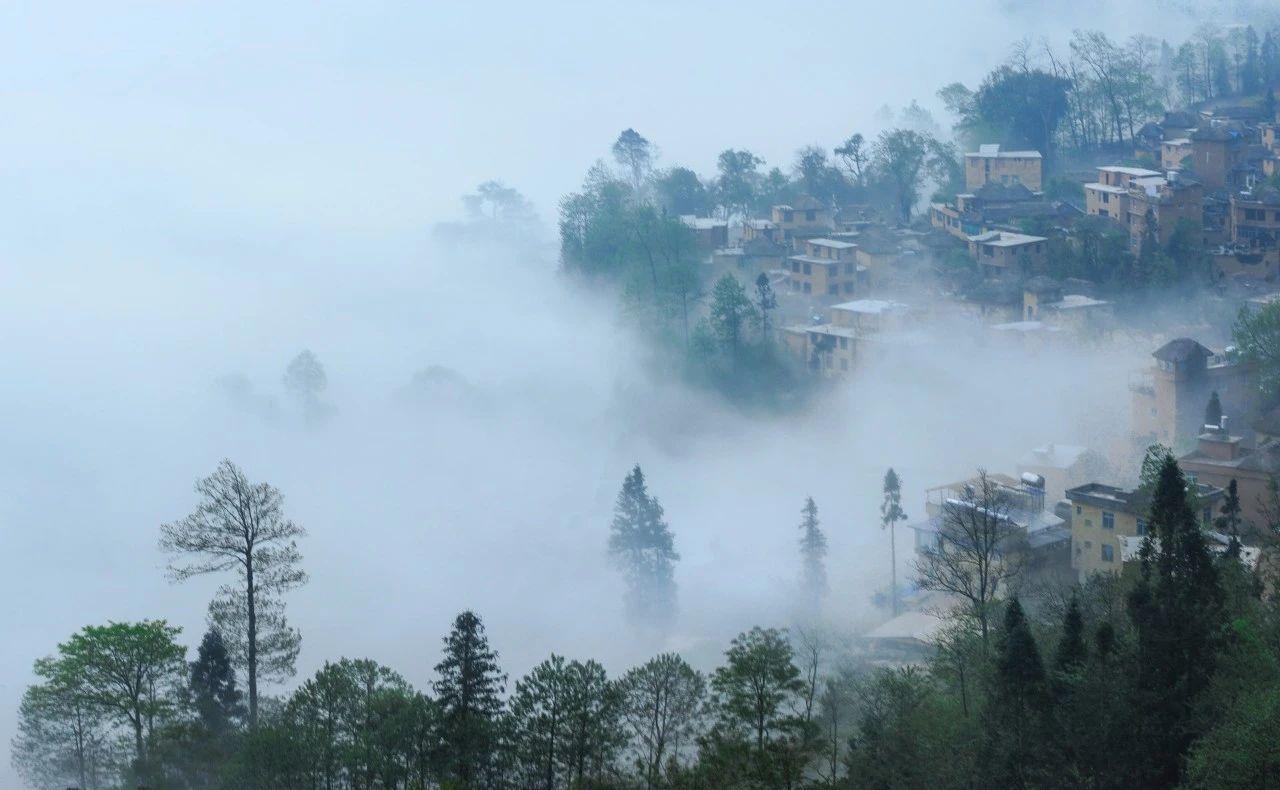 贺铸经典的10首宋词赏析（凌波横塘，梅子疏雨）