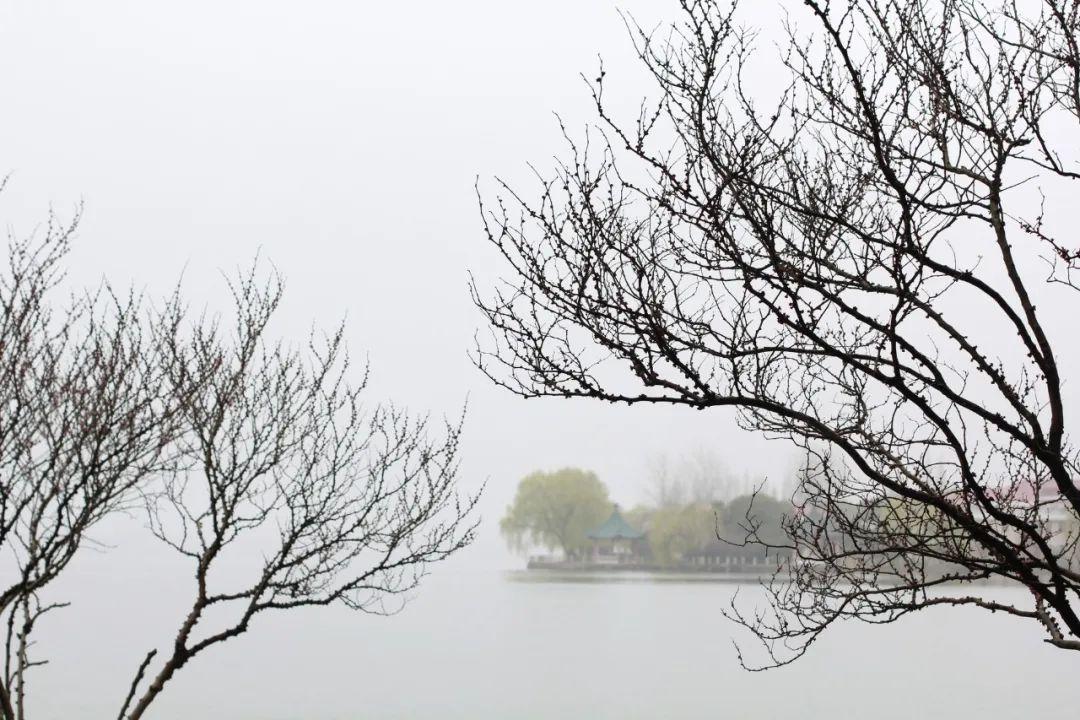 韦庄经典的10首诗词鉴赏（碧天春水，画船听雨）