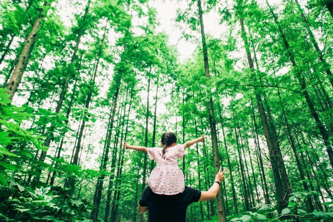 适合夏天的古诗词古句（夏天优美的10首诗词）