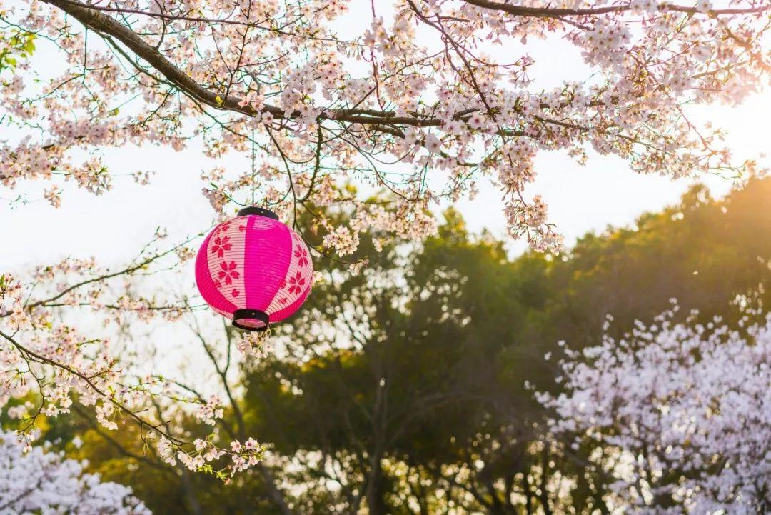 春日唯美古诗有哪些（10首春日五言绝句）