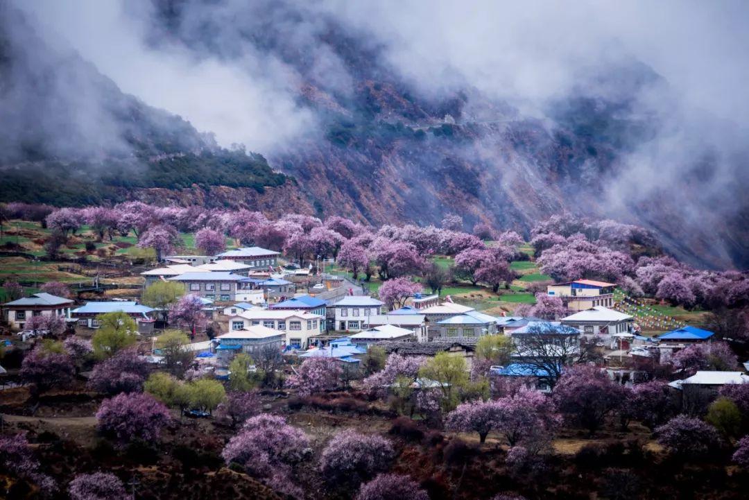 村居经典诗词有哪些（九首村居经典诗词）