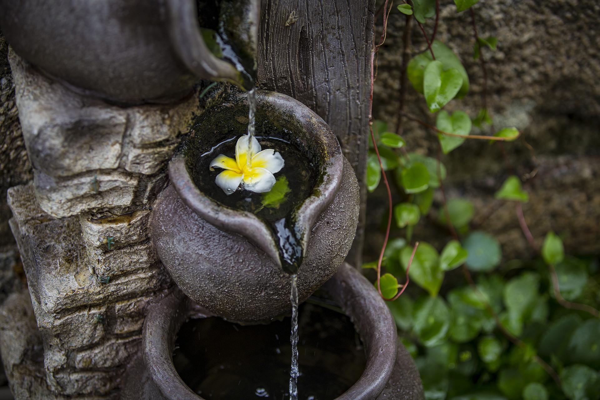 落花春光经典古诗（30首优美落花诗词）