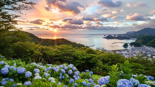 春节的风俗初中作文（《春节的味道》）