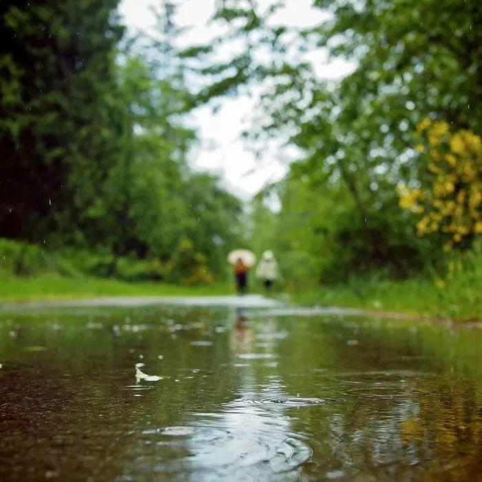 雨水经典名句摘抄（十首雨水唯美诗词）