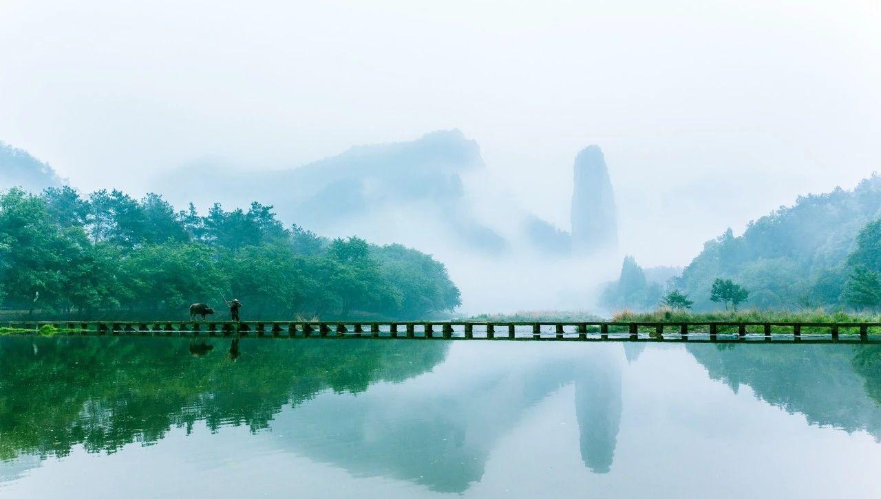 空山松子落，幽人应未眠（十首韦应物经典诗词）