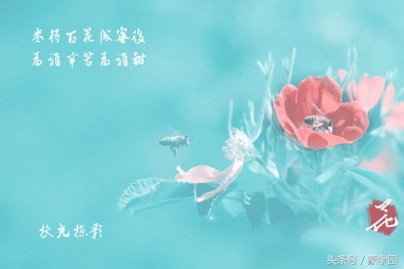 春蚕到死丝方尽，蜡炬成灰泪始干（10首赞美老师的古诗词）