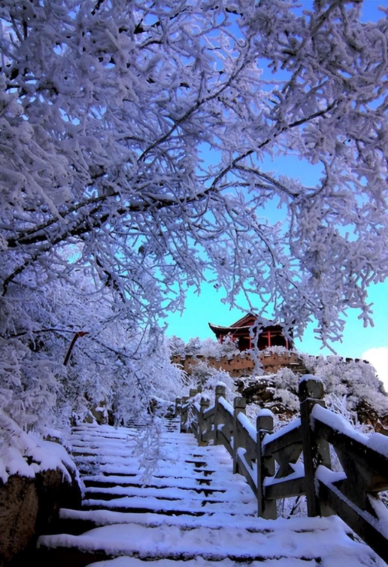 雪景经典诗词大全（描写雪景的唯美古诗句）