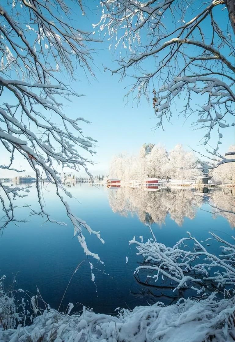 雪景经典诗词大全（描写雪景的唯美古诗句）