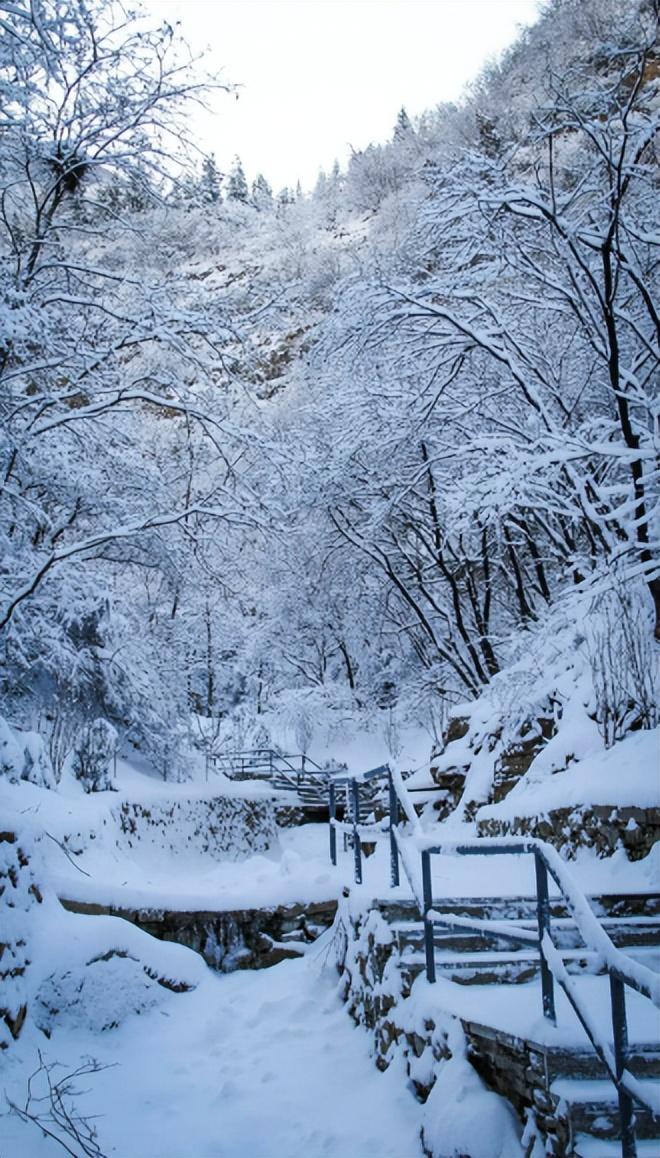 雪景经典诗词大全（描写雪景的唯美古诗句）