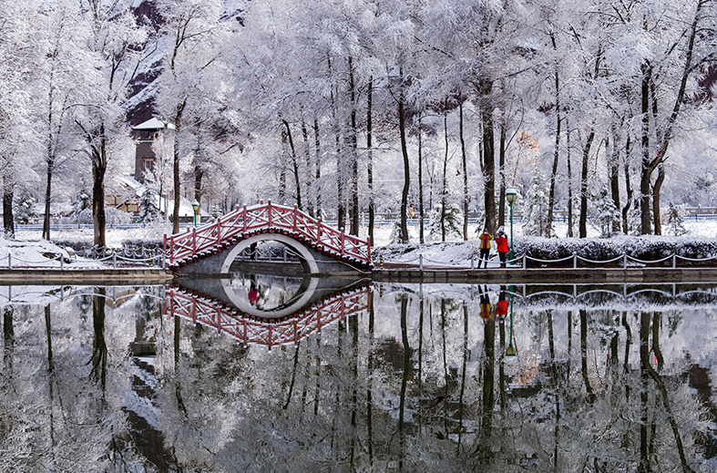 雪景经典诗词大全（描写雪景的唯美古诗句）