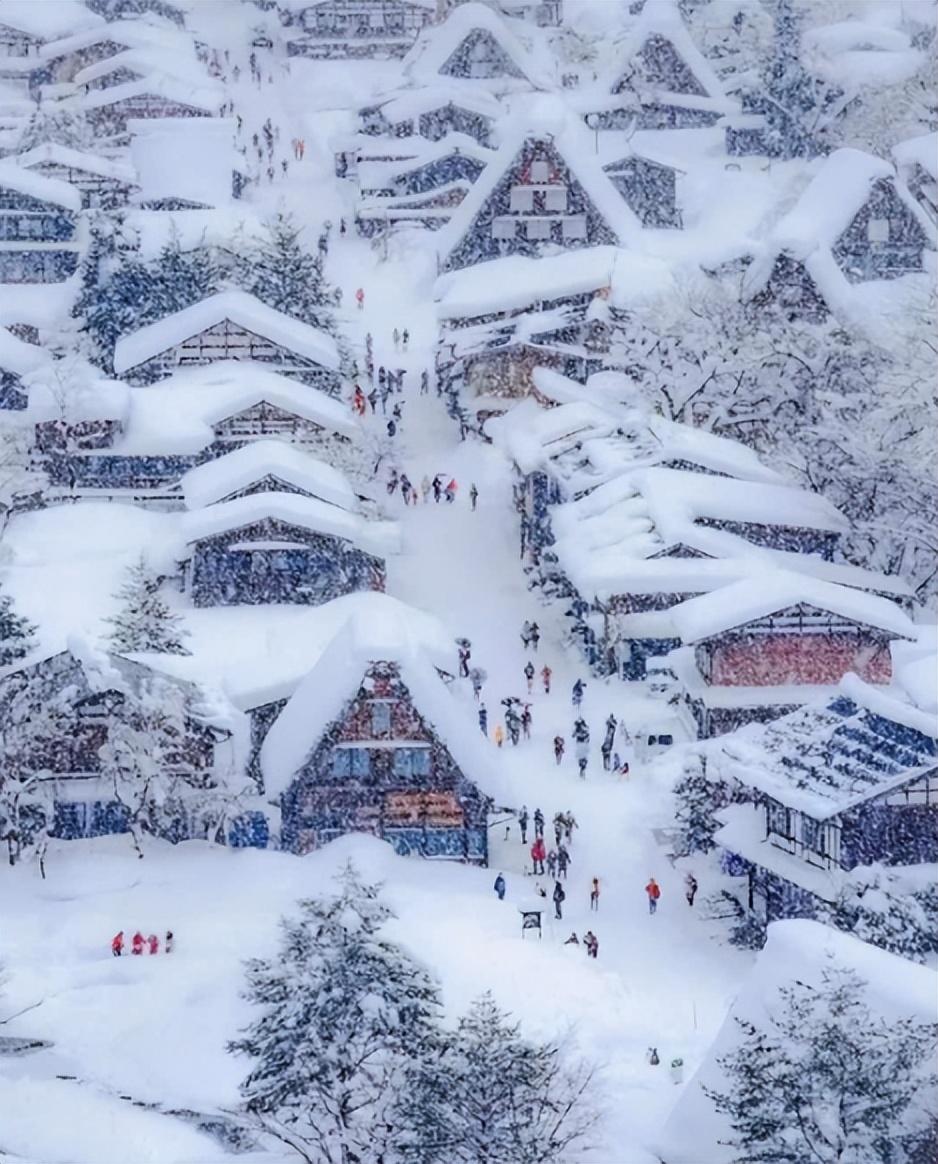 雪景经典诗词大全（描写雪景的唯美古诗句）