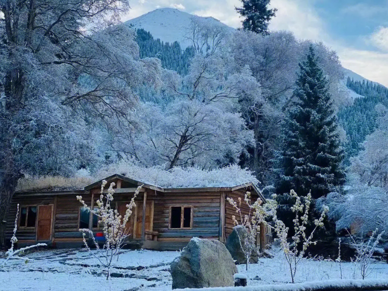 雪景经典诗词大全（描写雪景的唯美古诗句）