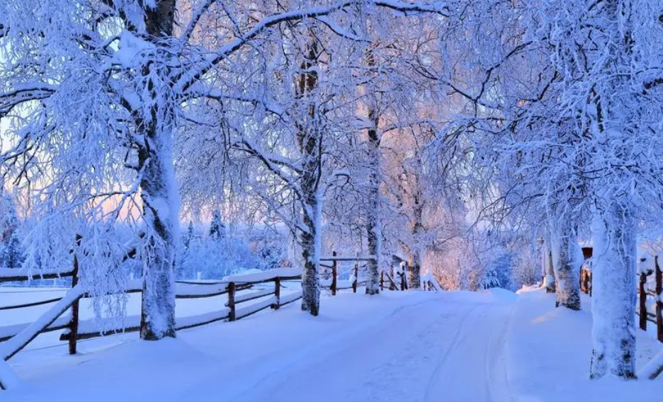 雪景经典诗词大全（描写雪景的唯美古诗句）