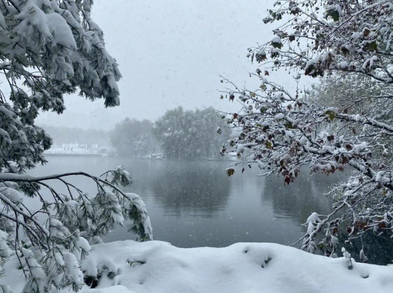 欲把诗催雪，待取玉花看（有关催雪的诗词）