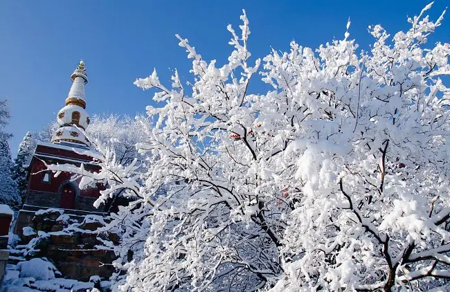 欲把诗催雪，待取玉花看（有关催雪的诗词）