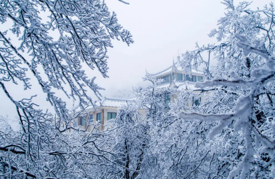 欲把诗催雪，待取玉花看（有关催雪的诗词）