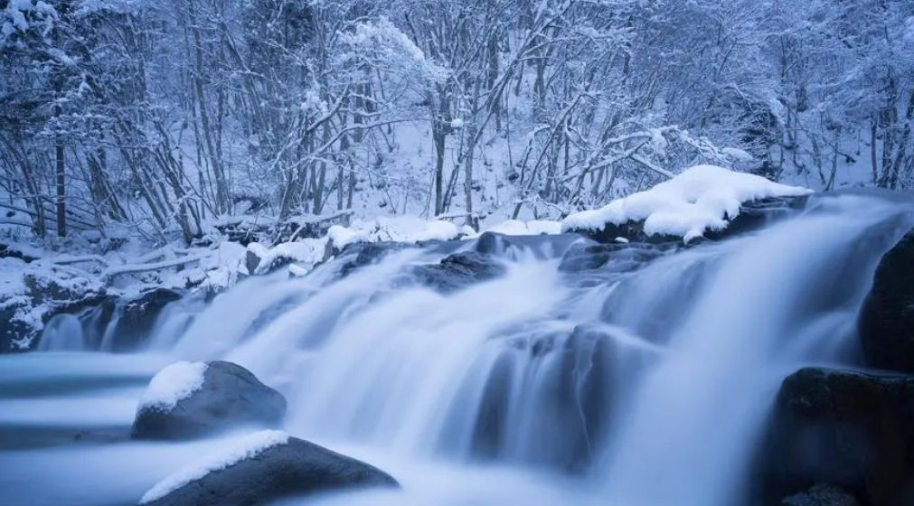 欲把诗催雪，待取玉花看（有关催雪的诗词）