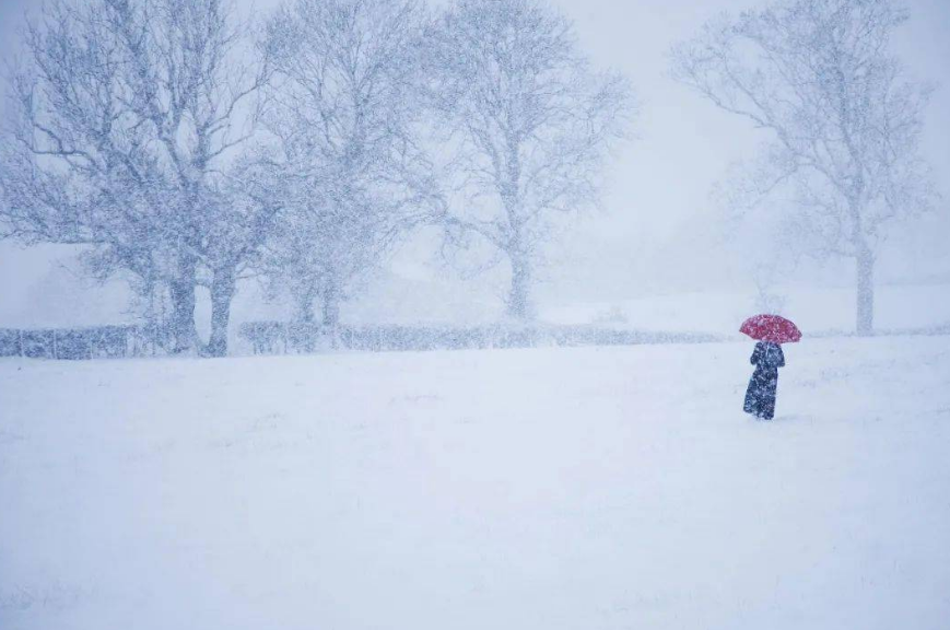 欲把诗催雪，待取玉花看（有关催雪的诗词）