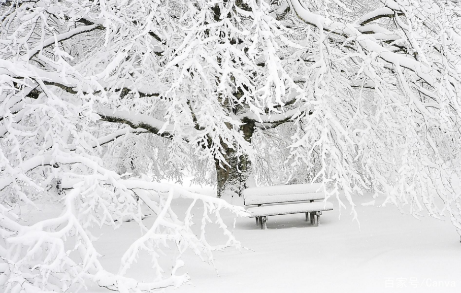 大雪梅花经典诗词（有关大雪的经典诗词）