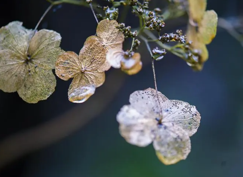 一场冬雨，一份思念（有关冬雨的唯美诗词）