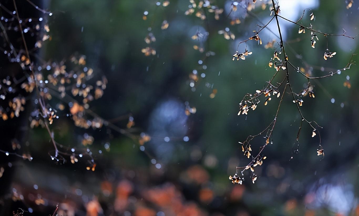 一场冬雨，一份思念（有关冬雨的唯美诗词）